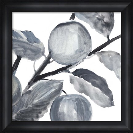 Framed Rustic Vine II Print