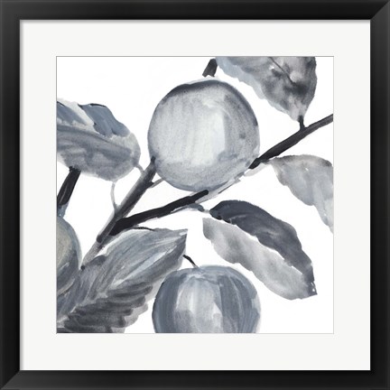 Framed Rustic Vine II Print