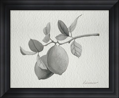 Framed Limonero I Print