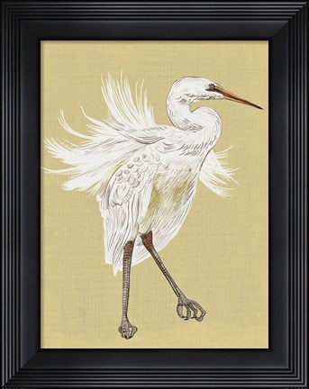 Framed Heron Plumage V Print