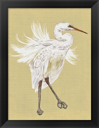 Framed Heron Plumage V Print