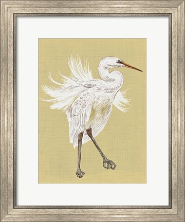Framed Heron Plumage V Print