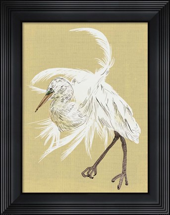 Framed Heron Plumage VI Print