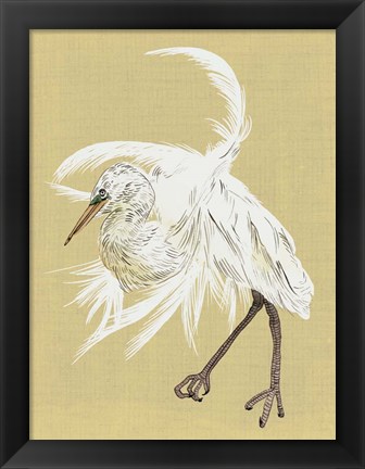 Framed Heron Plumage VI Print