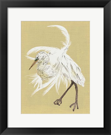 Framed Heron Plumage VI Print