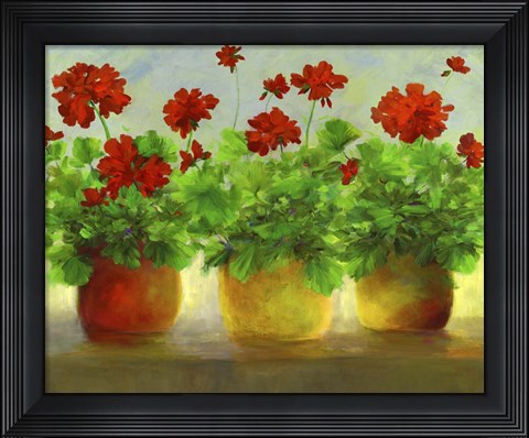Framed Geraniums III Print