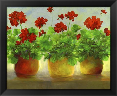 Framed Geraniums III Print