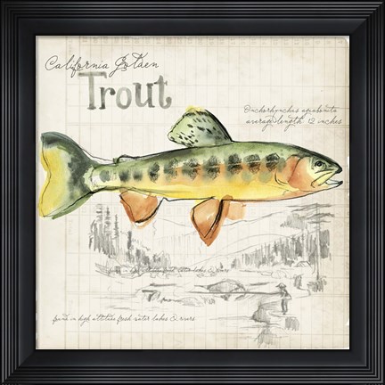 Framed Trout Journal IV Print