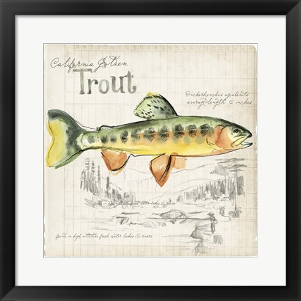 Framed Trout Journal IV Print