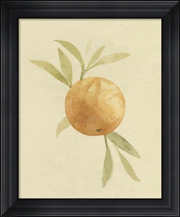 Framed Dappled Oranges I Print