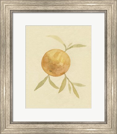 Framed Dappled Oranges II Print