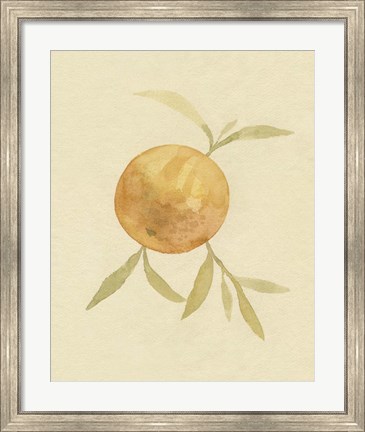Framed Dappled Oranges II Print