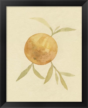 Framed Dappled Oranges II Print