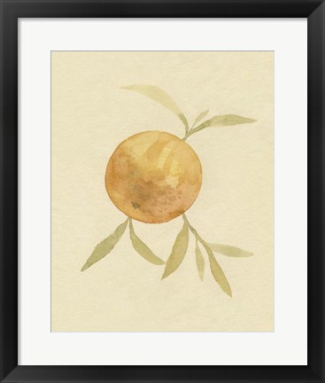 Framed Dappled Oranges II Print