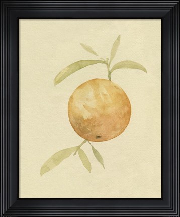 Framed Dappled Oranges III Print