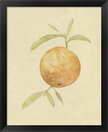 Framed Dappled Oranges III Print