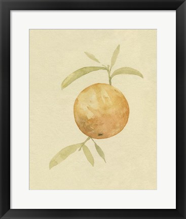 Framed Dappled Oranges III Print