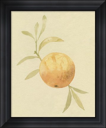 Framed Dappled Oranges IV Print