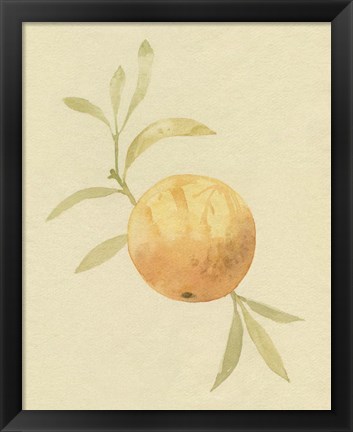 Framed Dappled Oranges IV Print