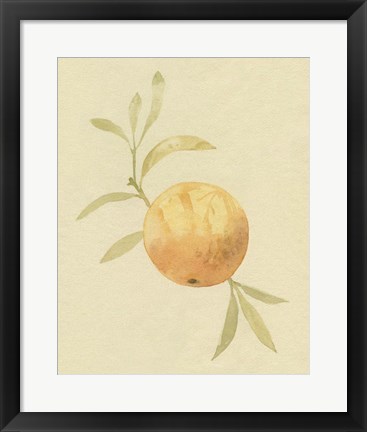 Framed Dappled Oranges IV Print