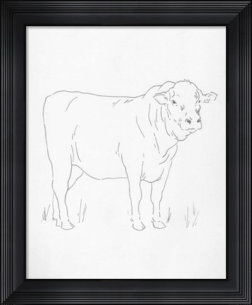 Framed Limousin Cattle I Print