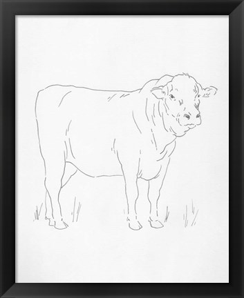 Framed Limousin Cattle I Print