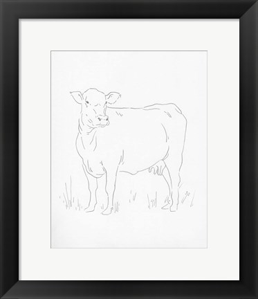 Framed Limousin Cattle II Print