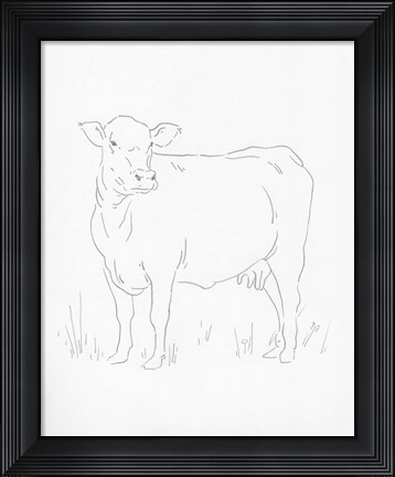 Framed Limousin Cattle II Print