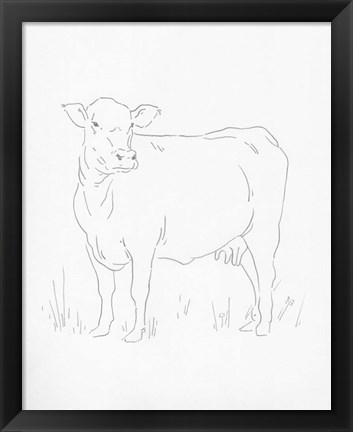 Framed Limousin Cattle II Print
