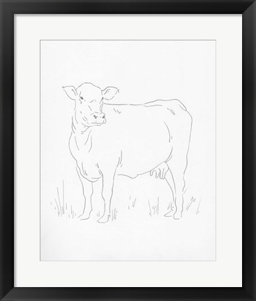 Framed Limousin Cattle II Print