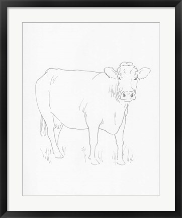 Framed Limousin Cattle III Print