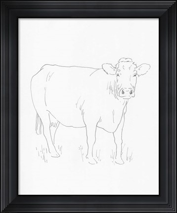 Framed Limousin Cattle III Print