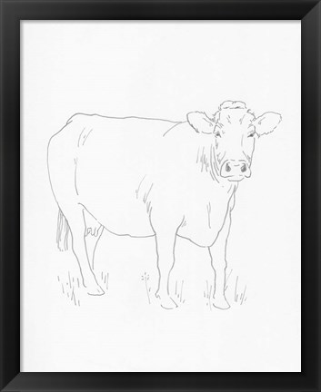 Framed Limousin Cattle III Print