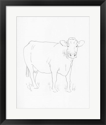 Framed Limousin Cattle III Print