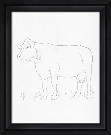 Framed Limousin Cattle IV Print