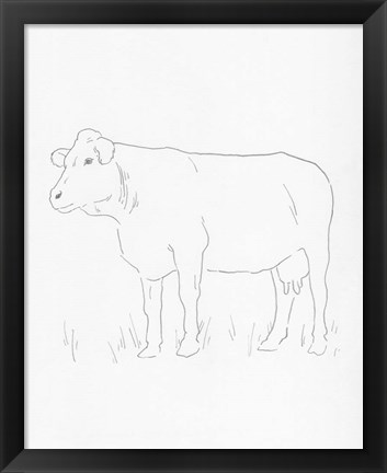 Framed Limousin Cattle IV Print