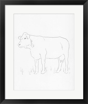 Framed Limousin Cattle IV Print