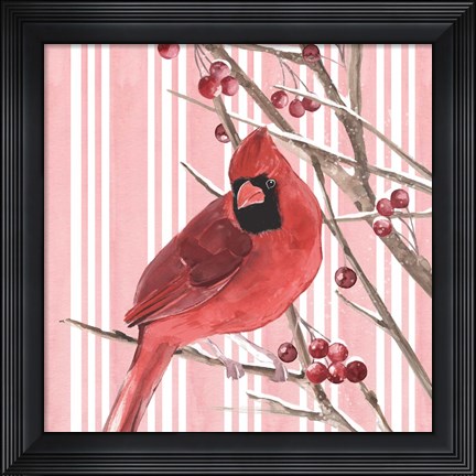 Framed Winter Cardinal I Print