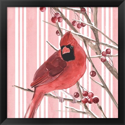 Framed Winter Cardinal I Print