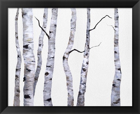 Framed Birch Trees I Print