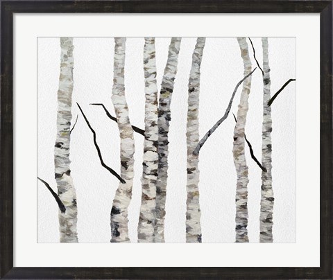 Framed Birch Trees II Print