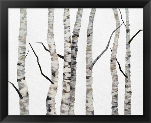 Framed Birch Trees II Print