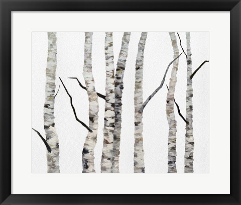 Framed Birch Trees II Print