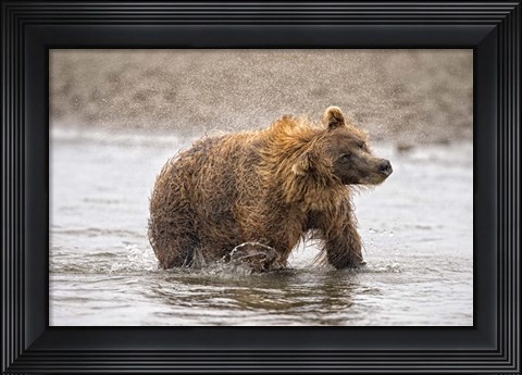 Framed Photography Study Shake it Off Print