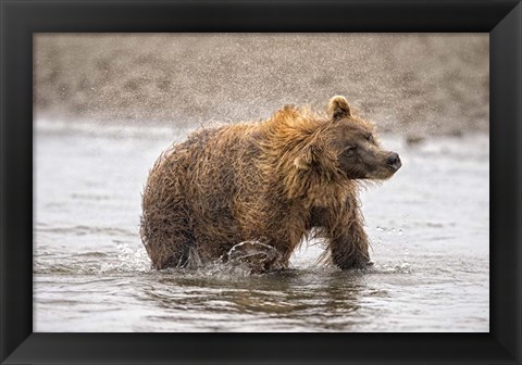 Framed Photography Study Shake it Off Print