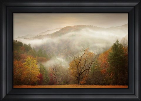 Framed Photography Study Autumn Mist Print