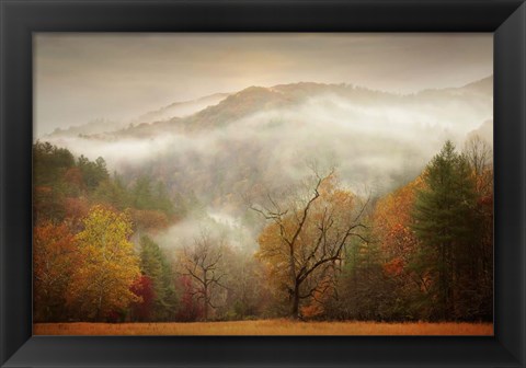 Framed Photography Study Autumn Mist Print