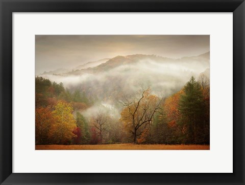 Framed Photography Study Autumn Mist Print