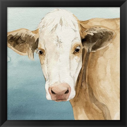 Framed Hereford Stare II Print