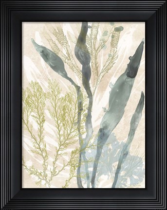 Framed Vintage Ocean Jewels I Print